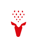 StrawberryDEER®